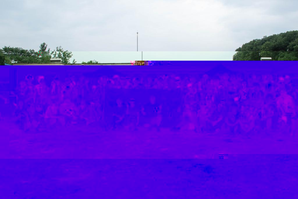 19063