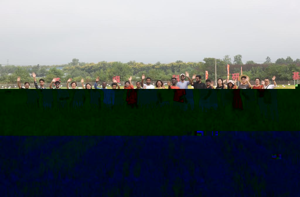undefined undefined