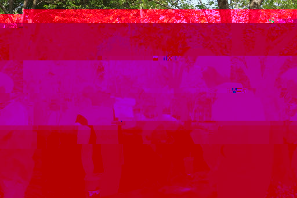 2D8F5 2D8F5