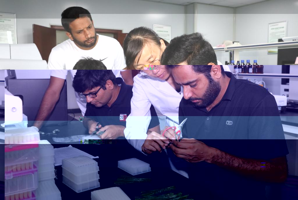 undefined undefined